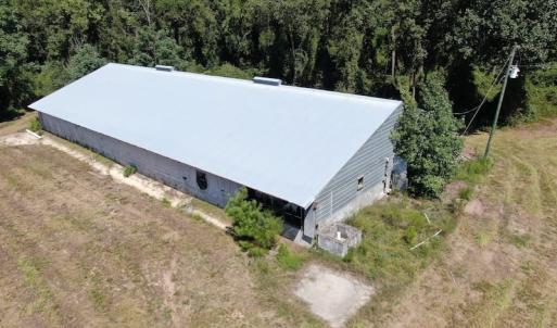 Photo of REDUCED! 265 Acres of Prime Hunting Land For Sale in Sampson County NC!