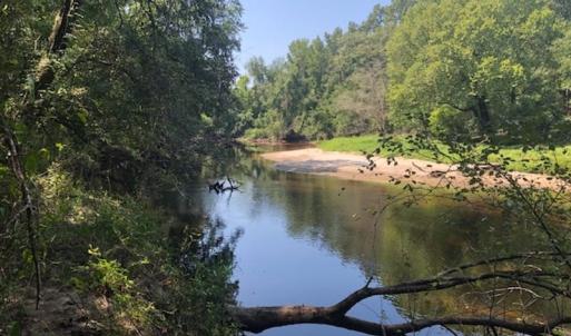 Photo of REDUCED! 265 Acres of Prime Hunting Land For Sale in Sampson County NC!