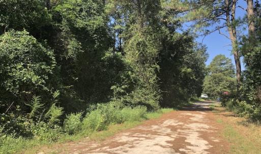 Photo of REDUCED! 265 Acres of Prime Hunting Land For Sale in Sampson County NC!