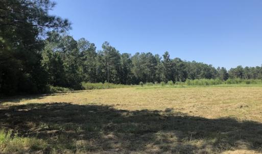 Photo of REDUCED! 265 Acres of Prime Hunting Land For Sale in Sampson County NC!