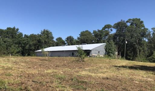 Photo of REDUCED! 265 Acres of Prime Hunting Land For Sale in Sampson County NC!
