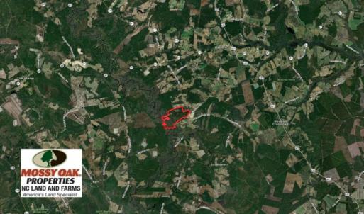 Photo of REDUCED! 265 Acres of Prime Hunting Land For Sale in Sampson County NC!
