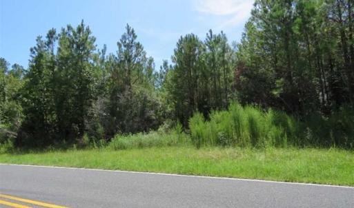Photo of SOLD!!  11 acres of Residential and Hunting Land for Sale in Columbus County NC!