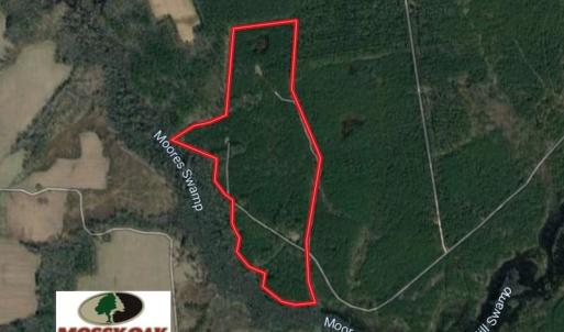 Photo of SOLD!!  100 Acres of Hunting Land For sale in Surry County VA!