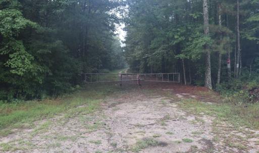 Photo of SOLD!!  100 Acres of Hunting Land For sale in Surry County VA!