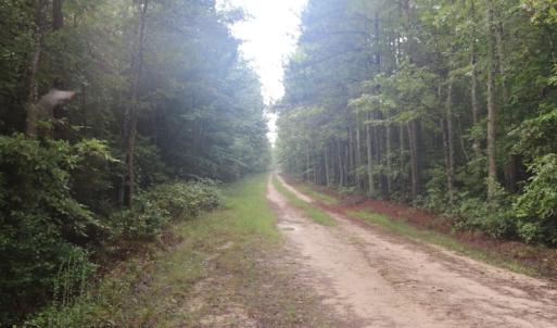 Photo of SOLD!!  100 Acres of Hunting Land For sale in Surry County VA!