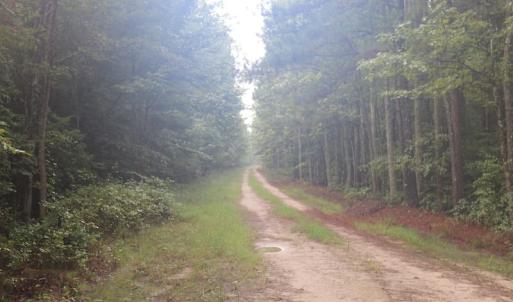 Photo of SOLD!!  100 Acres of Hunting Land For sale in Surry County VA!