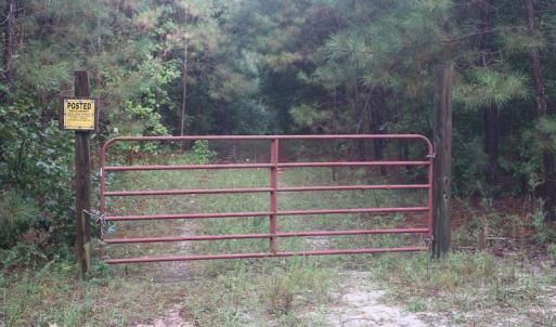 Photo of SOLD!!  100 Acres of Hunting Land For sale in Surry County VA!