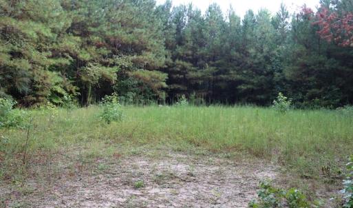 Photo of SOLD!!  100 Acres of Hunting Land For sale in Surry County VA!