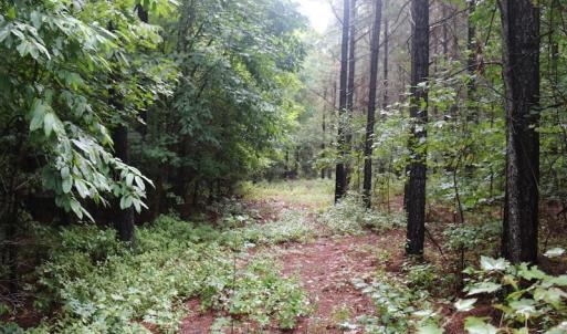 Photo of SOLD!!  100 Acres of Hunting Land For sale in Surry County VA!