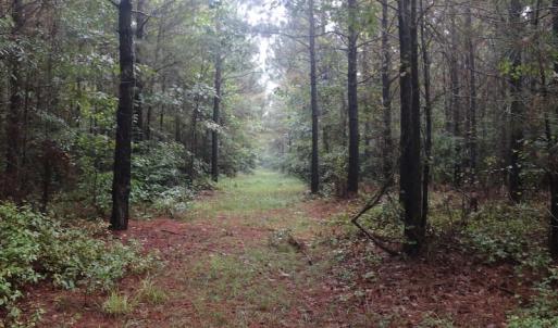 Photo of SOLD!!  100 Acres of Hunting Land For sale in Surry County VA!