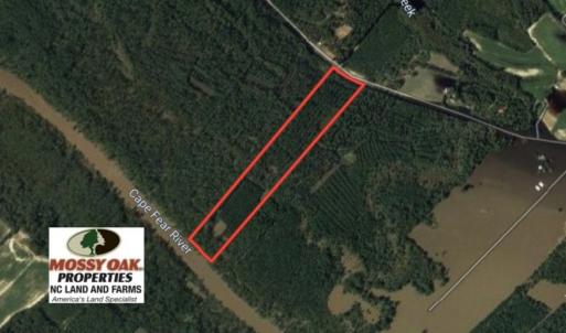Photo of SOLD!!   32.01 Acres of Hunting and Timber Land for Sale in Bladen County NC!