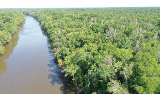 Photo of SOLD!!   32.01 Acres of Hunting and Timber Land for Sale in Bladen County NC!