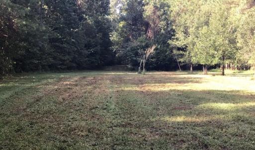 Photo of SOLD!!   32.01 Acres of Hunting and Timber Land for Sale in Bladen County NC!