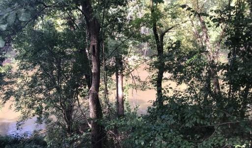 Photo of SOLD!!   32.01 Acres of Hunting and Timber Land for Sale in Bladen County NC!