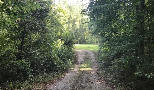 Photo of SOLD!!   32.01 Acres of Hunting and Timber Land for Sale in Bladen County NC!