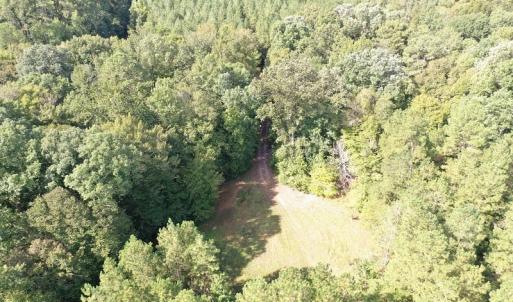 Photo of SOLD!!   32.01 Acres of Hunting and Timber Land for Sale in Bladen County NC!