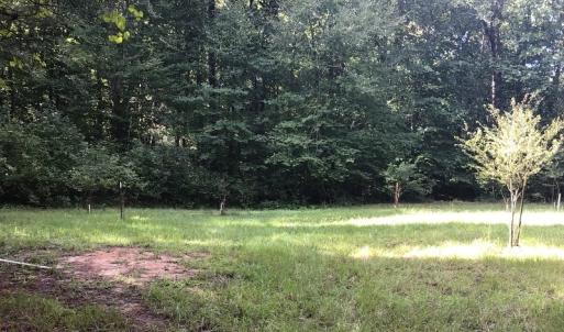 Photo of SOLD!!   32.01 Acres of Hunting and Timber Land for Sale in Bladen County NC!