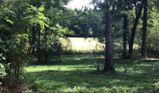 Photo of SOLD!!   32.01 Acres of Hunting and Timber Land for Sale in Bladen County NC!