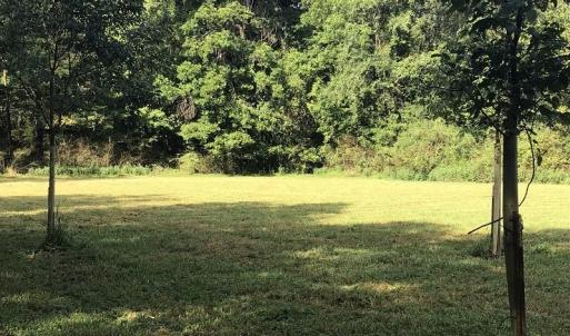 Photo of SOLD!!   32.01 Acres of Hunting and Timber Land for Sale in Bladen County NC!