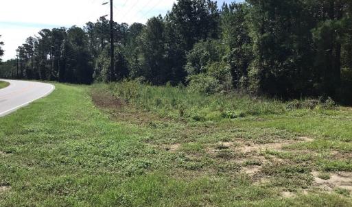 Photo of SOLD!!   32.01 Acres of Hunting and Timber Land for Sale in Bladen County NC!