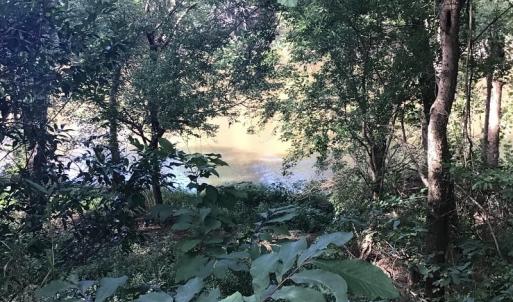Photo of SOLD!!   32.01 Acres of Hunting and Timber Land for Sale in Bladen County NC!