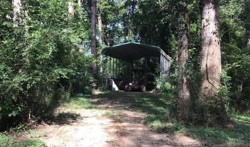 Photo of SOLD!!   32.01 Acres of Hunting and Timber Land for Sale in Bladen County NC!