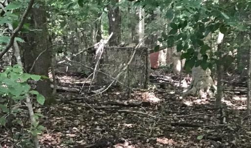 Photo of SOLD!!   32.01 Acres of Hunting and Timber Land for Sale in Bladen County NC!