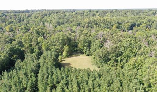 Photo of SOLD!!   32.01 Acres of Hunting and Timber Land for Sale in Bladen County NC!