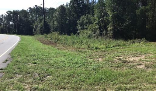 Photo of SOLD!!   32.01 Acres of Hunting and Timber Land for Sale in Bladen County NC!