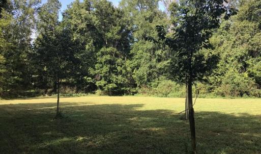 Photo of SOLD!!   32.01 Acres of Hunting and Timber Land for Sale in Bladen County NC!