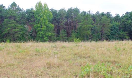Photo of SOLD!!  8.64 Ac of Residential and Hunting Land For Sale in Cumberland Co VA!