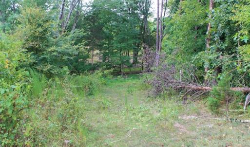 Photo of SOLD!!  8.64 Ac of Residential and Hunting Land For Sale in Cumberland Co VA!