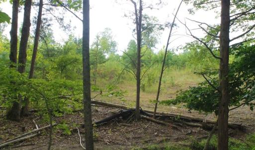 Photo of SOLD!!  8.64 Ac of Residential and Hunting Land For Sale in Cumberland Co VA!