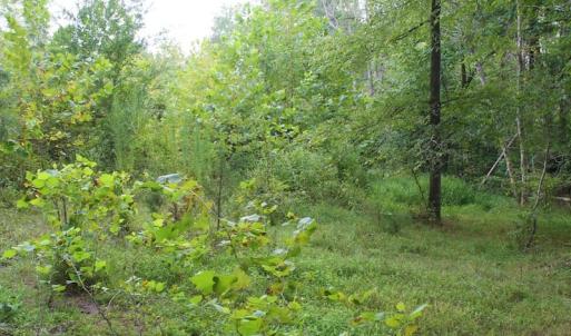 Photo of SOLD!!  8.64 Ac of Residential and Hunting Land For Sale in Cumberland Co VA!
