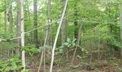 Photo of SOLD!!  8.64 Ac of Residential and Hunting Land For Sale in Cumberland Co VA!
