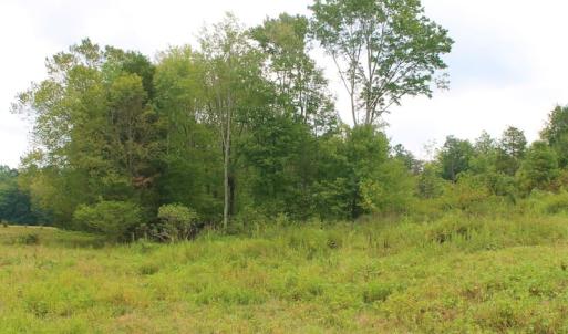 Photo of SOLD!!  8.64 Ac of Residential and Hunting Land For Sale in Cumberland Co VA!
