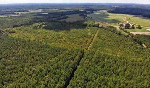 Photo of SOLD!!  61.12 Acres of Hunting Land for Sale in Greensville County VA!