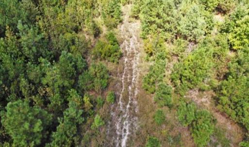 Photo of SOLD!!  61.12 Acres of Hunting Land for Sale in Greensville County VA!