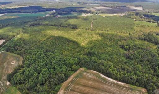 Photo of SOLD!!  61.12 Acres of Hunting Land for Sale in Greensville County VA!