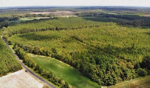Photo of SOLD!!  61.12 Acres of Hunting Land for Sale in Greensville County VA!