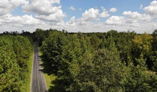 Photo of SOLD!!  61.12 Acres of Hunting Land for Sale in Greensville County VA!