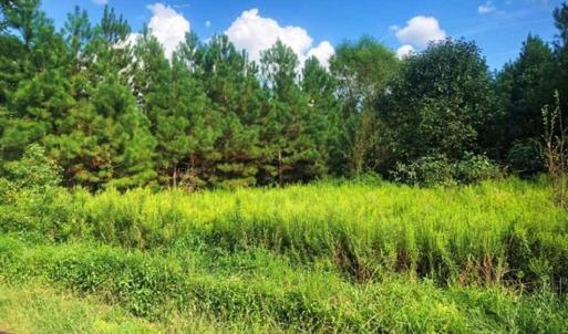 Photo of SOLD!!  61.12 Acres of Hunting Land for Sale in Greensville County VA!