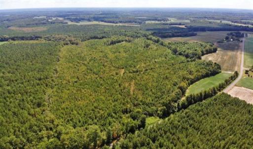 Photo of SOLD!!  61.12 Acres of Hunting Land for Sale in Greensville County VA!