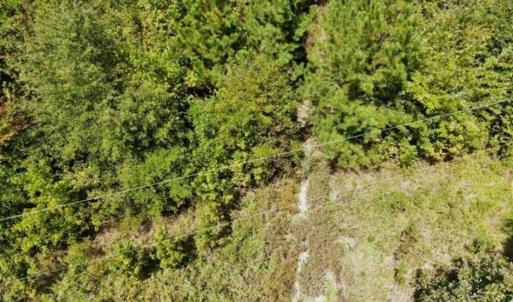 Photo of SOLD!!  61.12 Acres of Hunting Land for Sale in Greensville County VA!