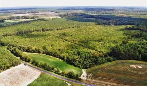 Photo of SOLD!!  61.12 Acres of Hunting Land for Sale in Greensville County VA!