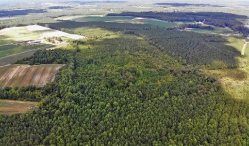 Photo of SOLD!!  61.12 Acres of Hunting Land for Sale in Greensville County VA!