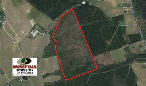 Photo of SOLD!!  61.12 Acres of Hunting Land for Sale in Greensville County VA!