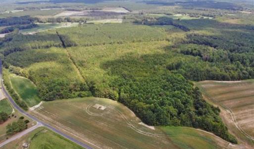 Photo of SOLD!!  61.12 Acres of Hunting Land for Sale in Greensville County VA!