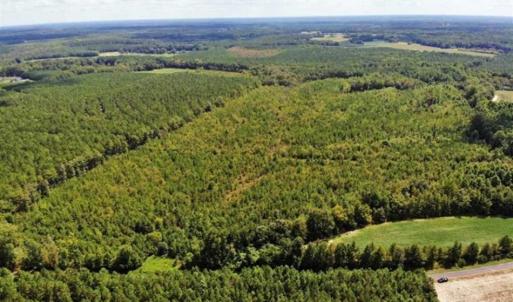 Photo of SOLD!!  61.12 Acres of Hunting Land for Sale in Greensville County VA!
